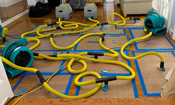 Professional Emergency Water Removal technician working in Newport Beach, CA